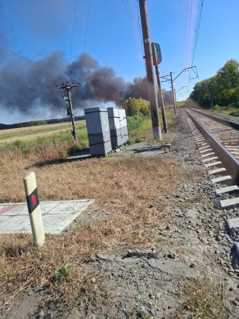 Поля сибниисхоза, у железной дороги.

Новости без цензуры (18+) в нашем телеграм-канале..