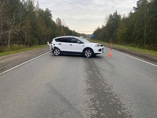 4 человека пострадали в ДТП на 29-м километре автодороги Тюмень-Омск. Здесь столкнулись «Форд», «Фольксваген»..