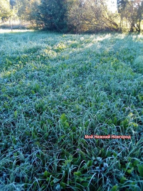 🗣️ Зима близко — первые заморозки на севере Нижегородской..