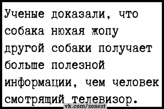 Русским предложили размножаться и создавать многодетные семьи с мигрантами 

Учёные ФНИСЦ РАН сообщили, что..