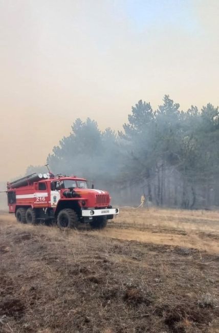 ❗️Площадь лесного пожара в Милютинском районе выросла до 170..