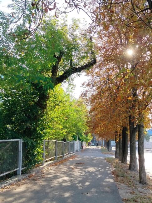 Лето встретилось с осенью 🍂

Фото: Виктория..