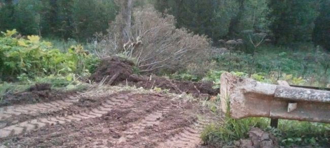 В Пермском крае общественники вновь осмотрели дорогу ст. Чайковская - д. Луговая и выявили на ней множество..