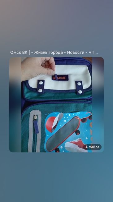 А Хоценко молодец! Часть 3.

Всё, расходимся. Нашлись рюкзаки, почти как в описании техзадания к госзакупке.
В..