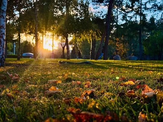 Вот такие красоты, можно увидеть в центре..