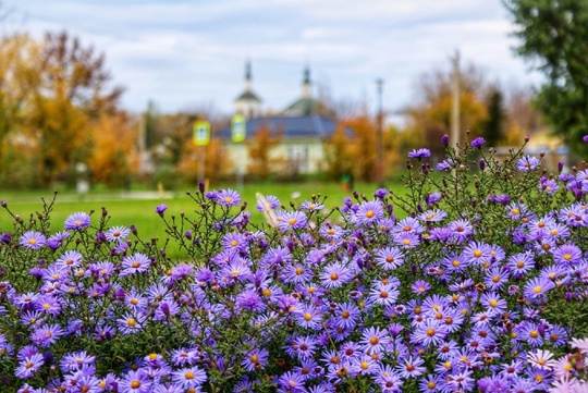 Старочеркасск осенний. Аксайский район, Ростовская область. 

Фото: Владимир..