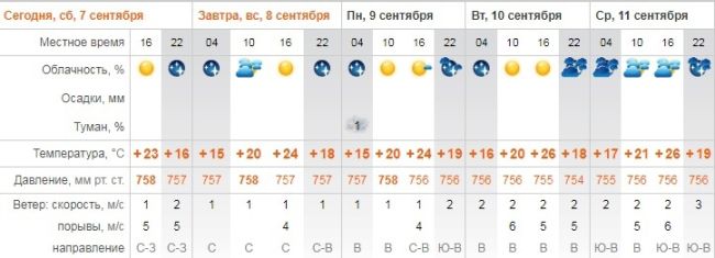 Не простились с летом: какой будет погода в первой половине сентября в Самаре 

На 3-4 градуса выше многолетних..