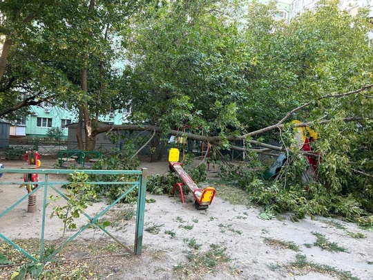 Огромное дерево свалилось на детскую площадку возле домов Зорге 39 и Зорге..