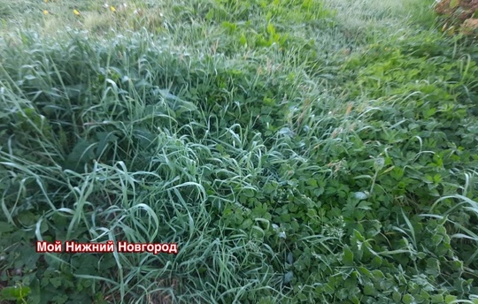 🗣️ Зима близко — первые заморозки на севере Нижегородской..