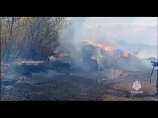 Пожар, возникший из-за поджога сухой травы в огороде, обошёлся в немалую сумму.
 
В Миллеровском районе,..