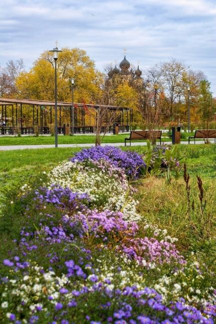 Старочеркасск осенний. Аксайский район, Ростовская область. 

Фото: Владимир..