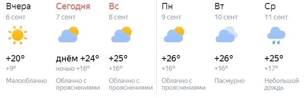 Не простились с летом: какой будет погода в первой половине сентября в Самаре 

На 3-4 градуса выше многолетних..