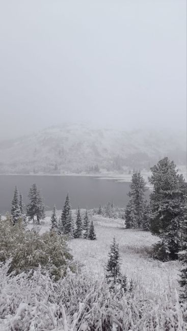 Первый  снег  уже  выпал  на  юге  Красноярского  края!  ❄️

Природный  парк  Ергаки  и  трасса  Р-257  уже  засыпаны..