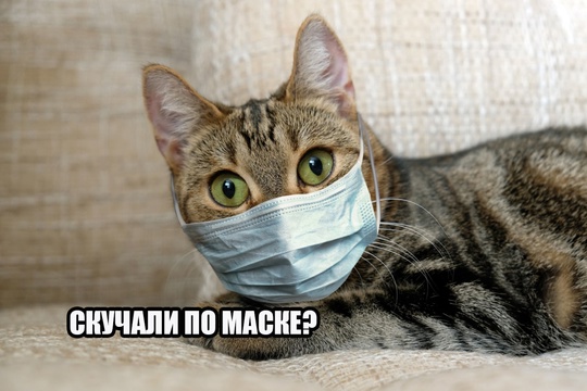 😷 Ну что ж, маски снова в тренде: Челябинск вводит масочный режим из-за пневмонии!

В Челябинске вводится..