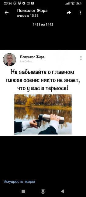 Ростовчане, как у вас прошел этот сентябрь? Готовы к..