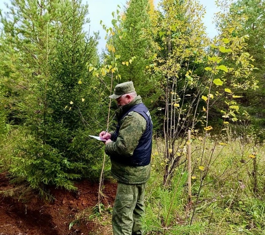 ‼️Следователями СК России установлено лицо, причастное к совершению [https://vk.com/wall-69295870_1760808|убийства..