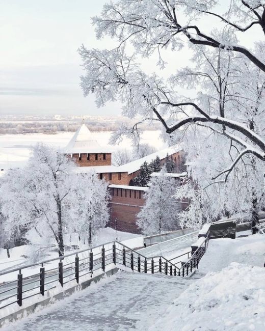 ❄ Стало известно, когда в Нижнем выпадет первый снег! 
 
Если верить синоптикам, это случится 16 октября. Вы..