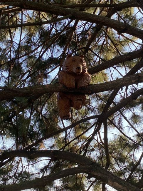 На набережной поселились мишки 😍🐻

За фото спасибо нашей..