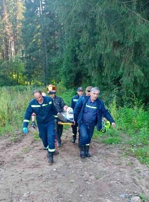 ‼️1 сентября на пульт оперативного дежурного поступило сообщение о беспомощном человеке, упавшем в..