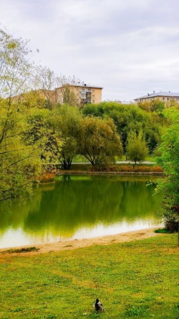 🍂Осенние акценты в парке Удальцовские..