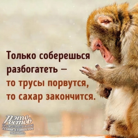 В 2023 году 10 самых богатых жителей Ростовской области заработали 69 миллиардов рублей, что превышает годовой..