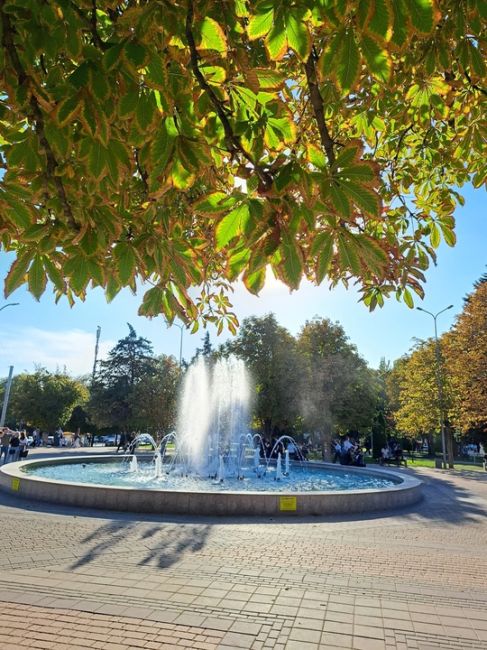 🍂 Осень в Ростове. За фотографии спасибо нашим..