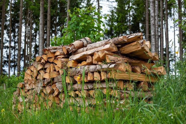 В Омской области зарегистрированы случаи мошенничества при заказе дров через интернет. 
 
За последние 24..