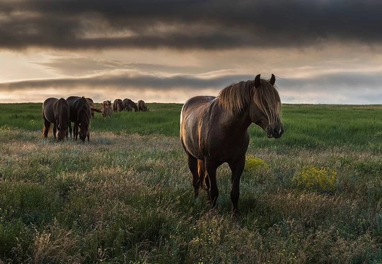 🥰 Доброе утро, Ростовская область!

Фото: Александр..