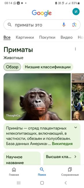 😂 Ночные приключения: обнажённая девушка пытается поймать попутку!

Похоже, кто-то отлично проводит..