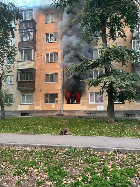 ⚡️Пламя и дым столбом 

В Новосибирске в квартире пожилой женщины произошёл сильный пожар. 

Вечером 17..