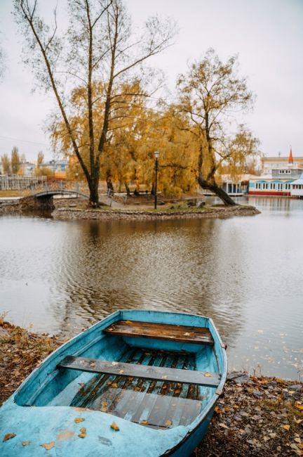 Осень в Воронежской области😍

Фото: [id24208205|Дмитрий..