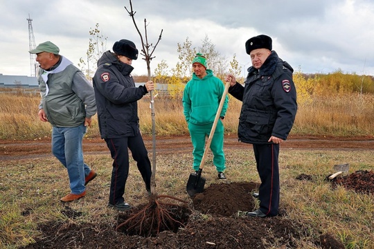 В «Саду Памяти» возле «Самара Арены» высадили деревья в рамках Всероссийской акции «Лес Победы».

Теперь в..