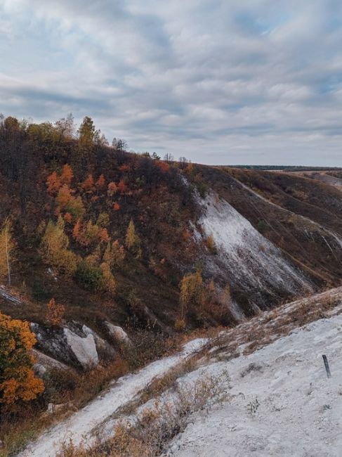 Краски осени в Сторожевом 😍

Фото: Мария Соколова..