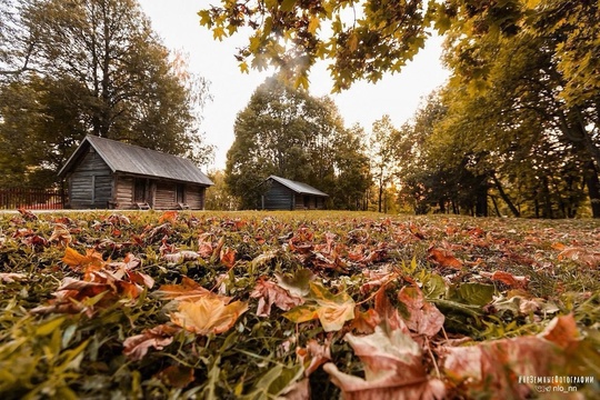 Прекрасная Болдинская осень 🍁

📸 Никита..