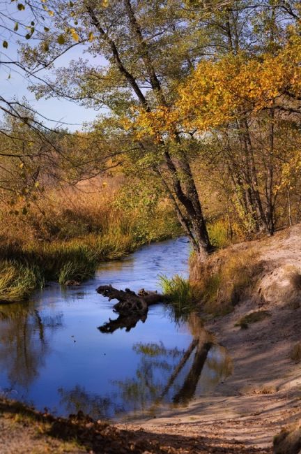 Река Усманка, Воронежская область😍

Фото: [https://vk.com/bookmarks?from_menu=1&w=wall290643278_4811|Наталья..