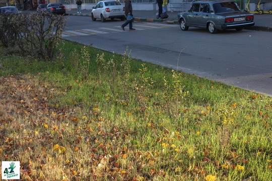 📝🌳🚜 
 
Мы вновь посетили сквер им. Валерия Иконникова. 
 
Напомним, летом в нем проходили работы по..