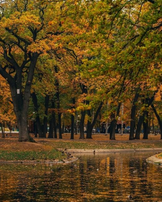 Осень в парке Гагарина..