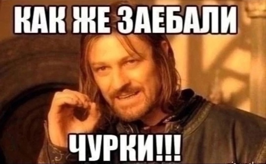 Гражданин Узбекистана ранил ножом своего земляка 
 
Накануне с проспекта Александровской фермы..