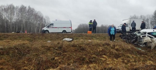 В Кочковском районе произошло смертельное ДТП

В результате столкновения автомобилей погиб водитель..