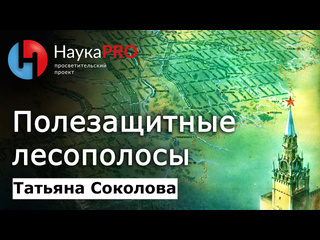 Актуально для Ростовской области из-за пыльных бурь...
 
Как осуществлялся «Великий Сталинский план..