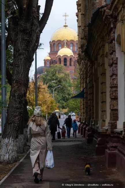 На улицах Волгограда царит настоящая осенняя атмосфера! 🌧️🍁☂️

А какое время года вам нравится больше..