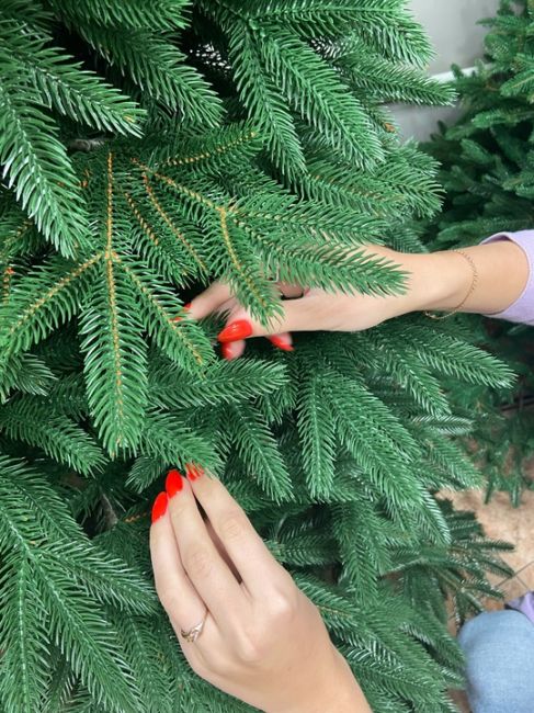 Сейчас искусственные ёлки в Новосибирске со скидкой до 30%. Цены растут каждые 2 недели. Можно забронировать..