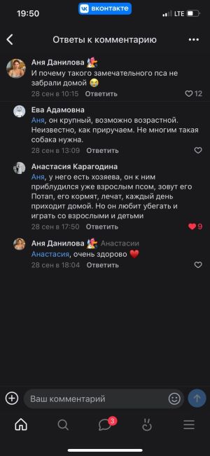 А Усманский Хатико все так же ждёт детей каждый день на фонтане .Ждёт "детские"капли воды, чтобы поймать их..