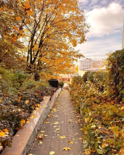 Осень в Морозовском саду 🍁🍂

Фото:..