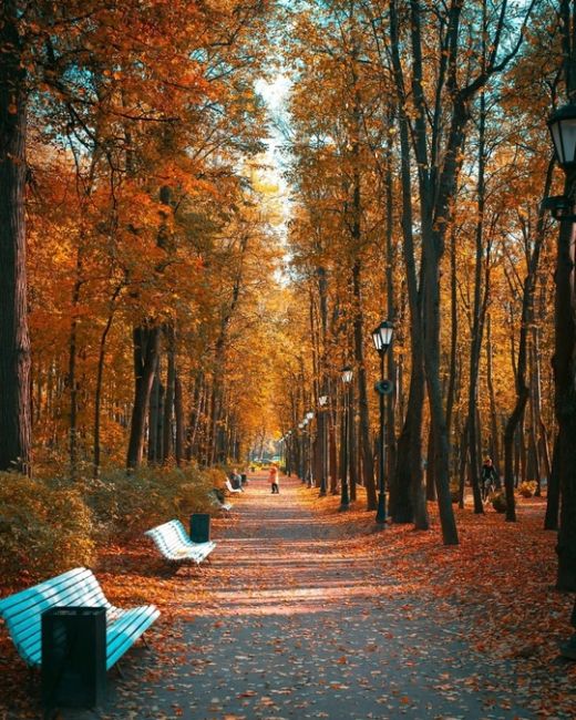 Осень в Нескучном саду.

Фото:..