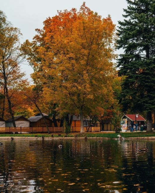 Осень в парке Гагарина..