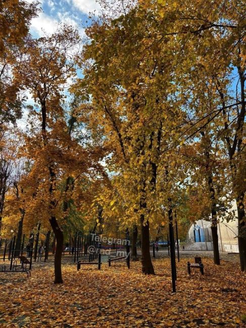 Парк Революции сегодня 😍 Осенние..