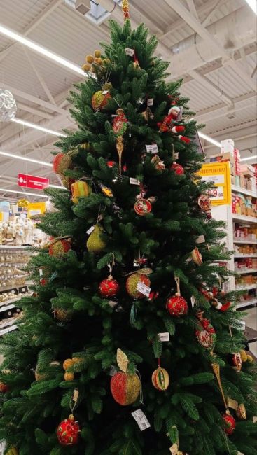 🎄 В магазинах Ростова появились новогодние украшения. А вы уже начали готовиться к Новому 2025 году? 

Фото:..