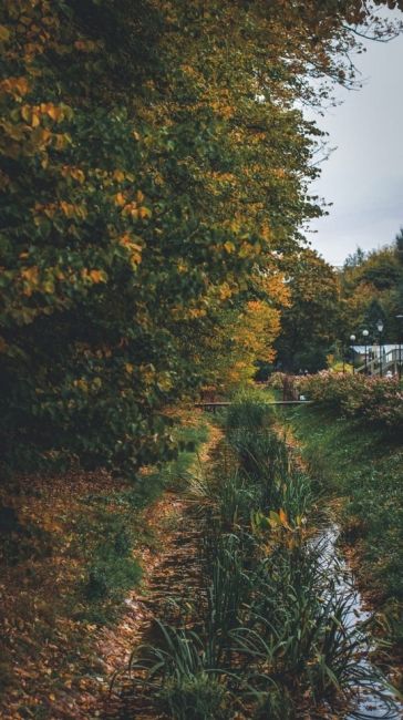 Осень в Аптекарском огороде

Фото: Оксана..