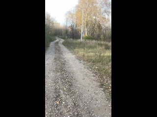 ‼️В Левшино загорелся заброшенный дом. Вряд ли самостоятельно..

Подпишись 👉🏻 [club69295870|ЧП ДТП..